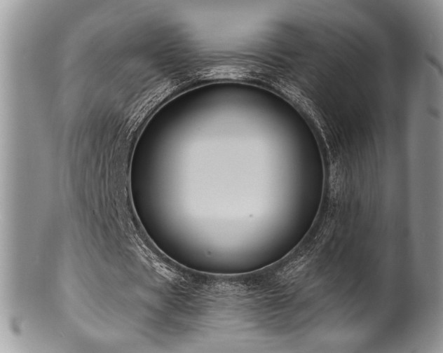 X0000100840529200806201153