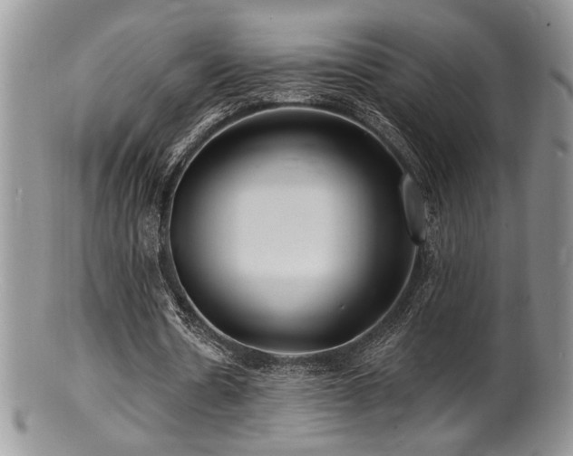 X0000100840530200806201153