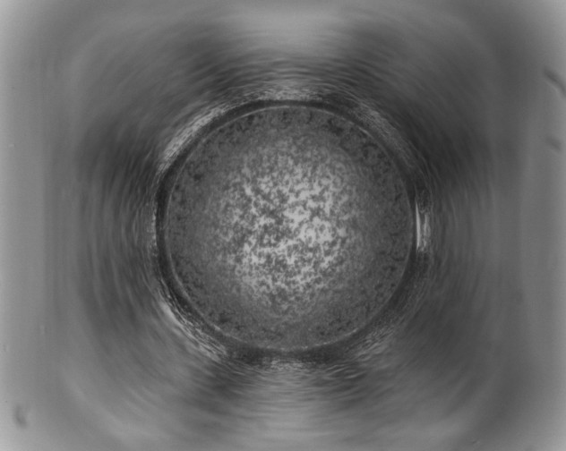 X0000100840531200806201153