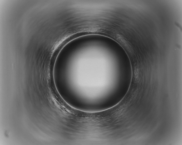 X0000100840532200806201153