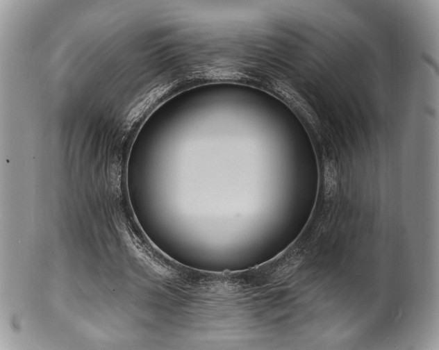 X0000100840533200806201153