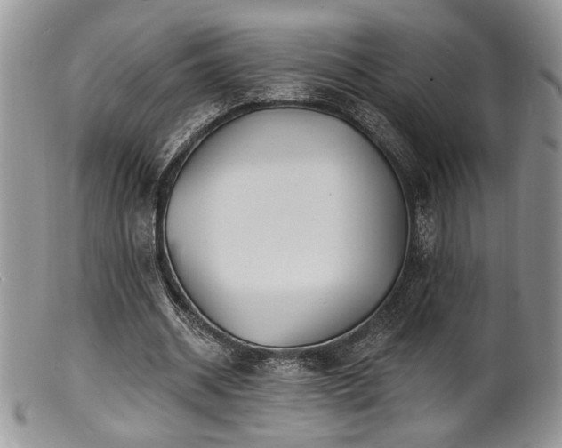 X0000100840534200806201153