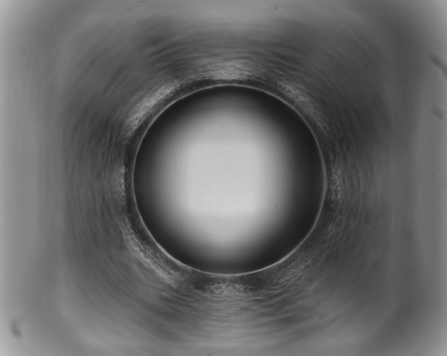 X0000100840535200806201153