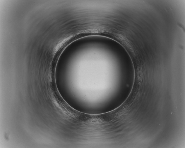 X0000100840536200806201153