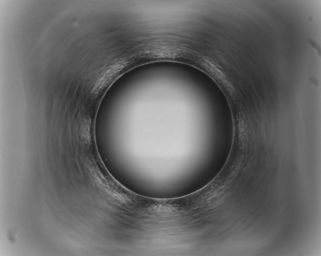 X0000100840537200806201153