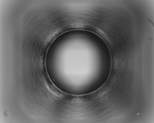 X0000100840538200806201153