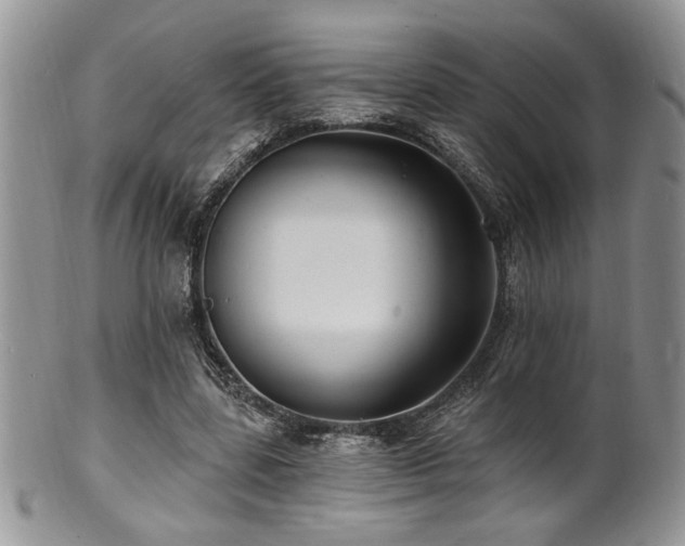 X0000100840539200806201153