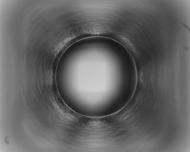 X0000100840540200806201153