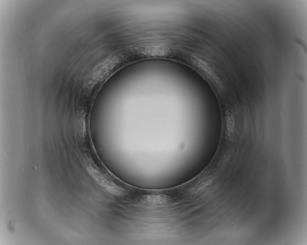 X0000100840541200806201153