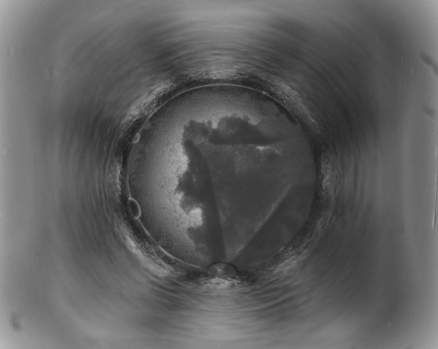 X0000100840542200806201153