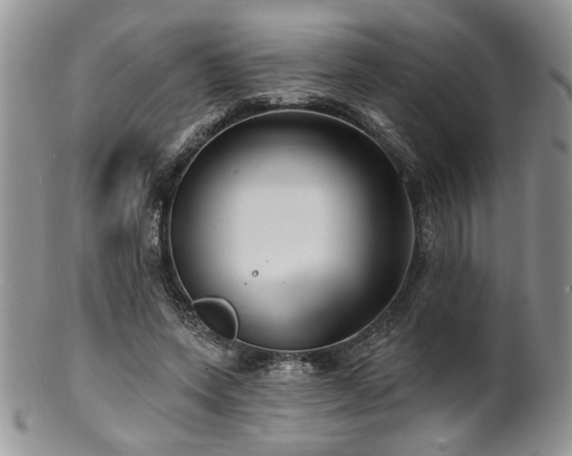 X0000100840543200806201153