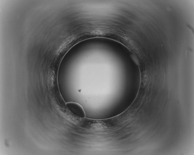 X0000100840544200806201153