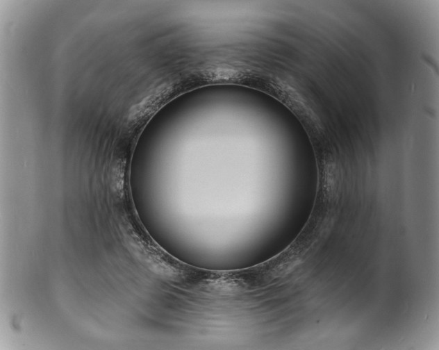 X0000100840545200806201153