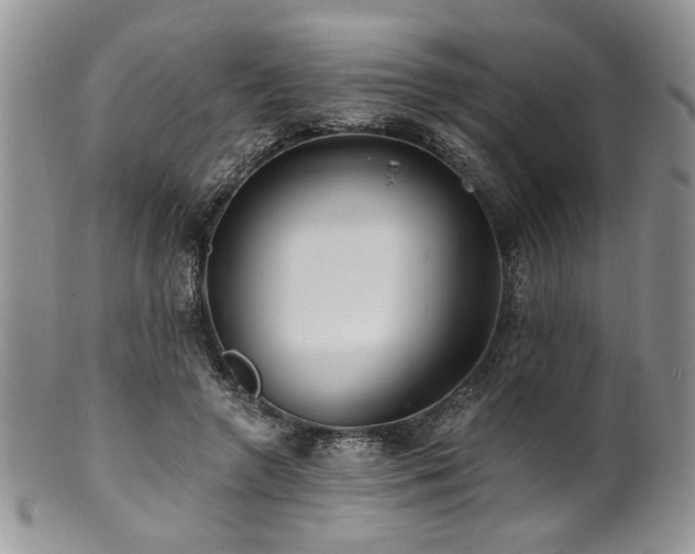 X0000100840546200806201153