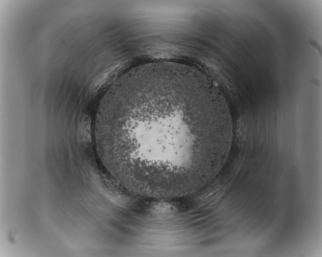 X0000100840547200806201153