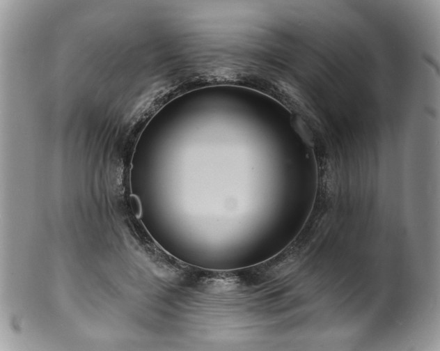 X0000100840548200806201153