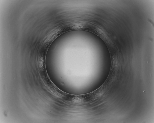 X0000100840549200806201153