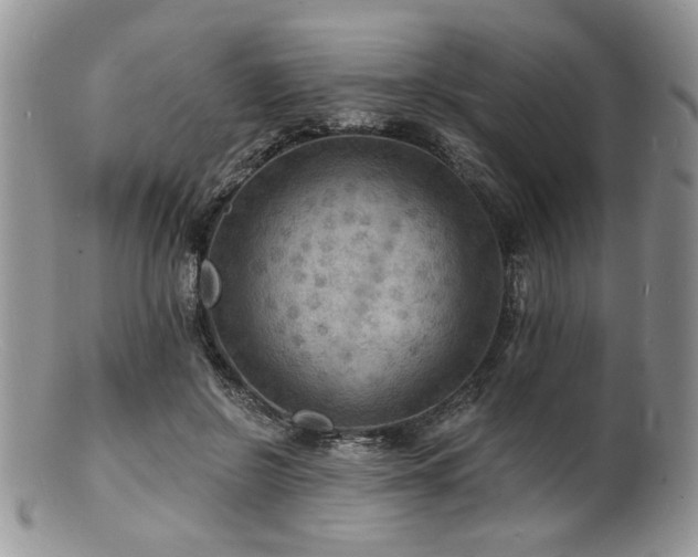 X0000100840550200806201153