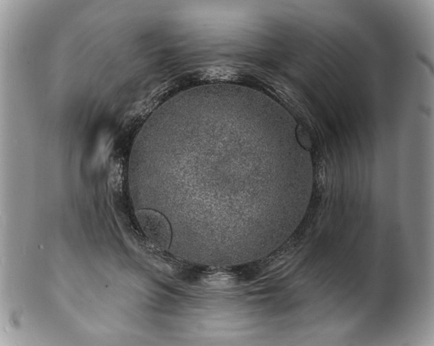 X0000100840551200806201153