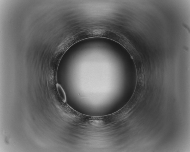 X0000100840552200806201153