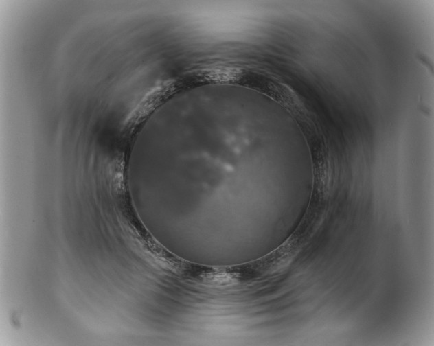 X0000100840553200806201153