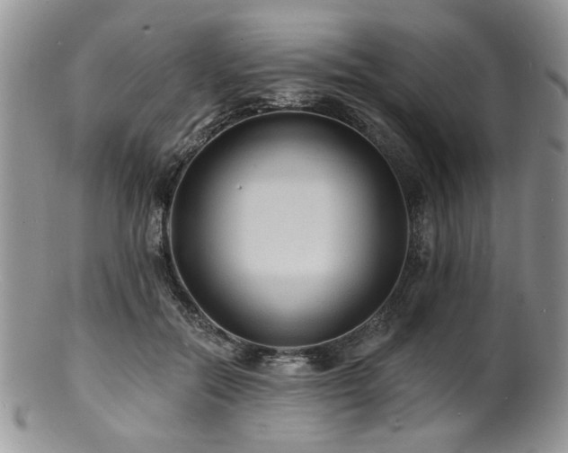 X0000100840554200806201153