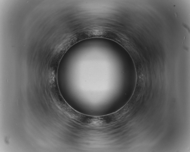 X0000100840555200806201153