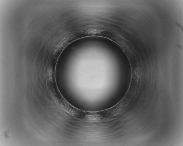 X0000100840556200806201153