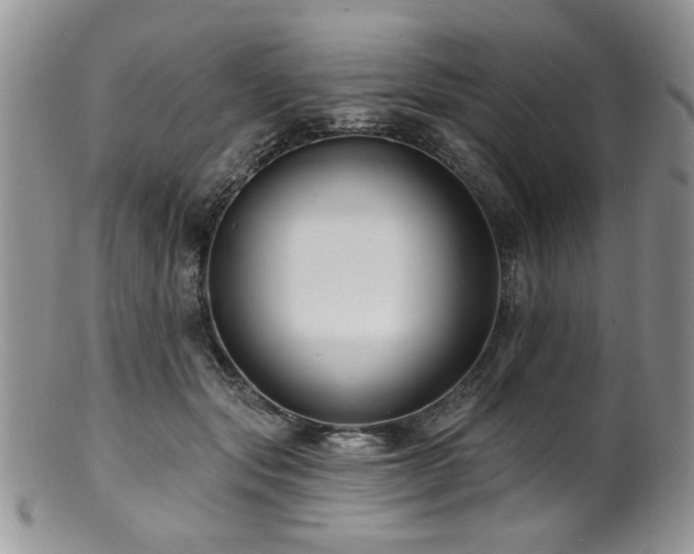 X0000100840557200806201153