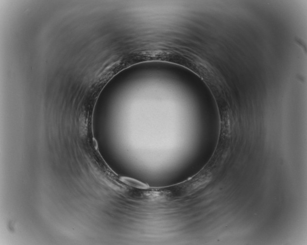 X0000100840558200806201153