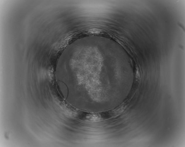 X0000100840559200806201153