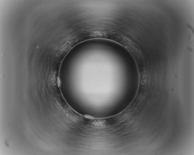 X0000100840560200806201153