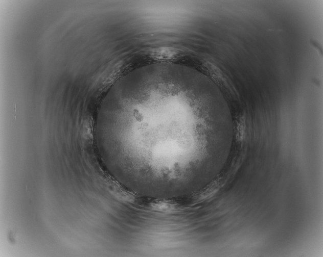 X0000100840561200806201153