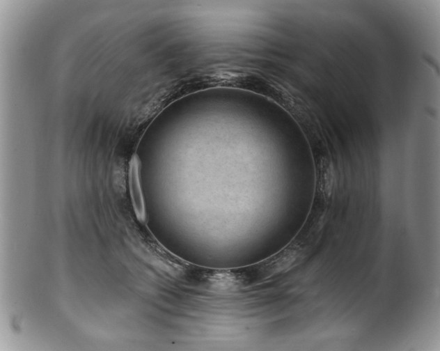 X0000100840562200806201153