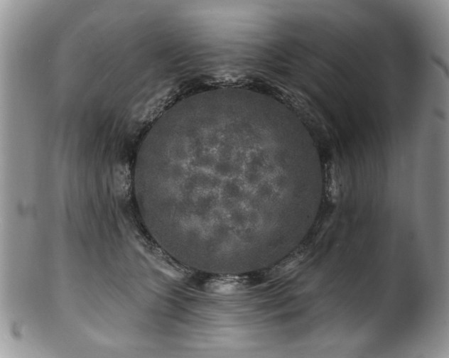 X0000100840563200806201153