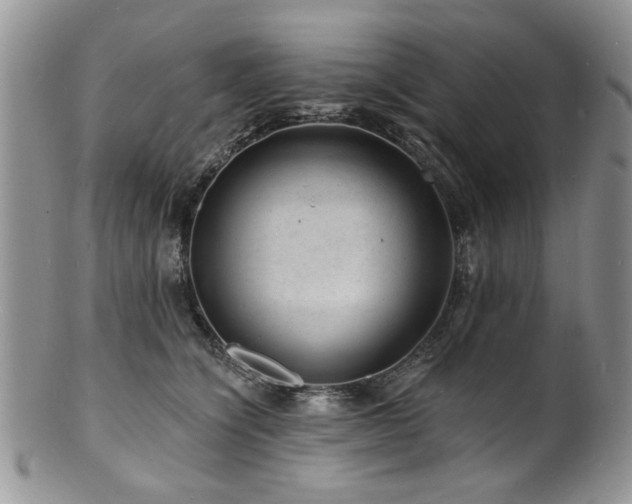 X0000100840564200806201153