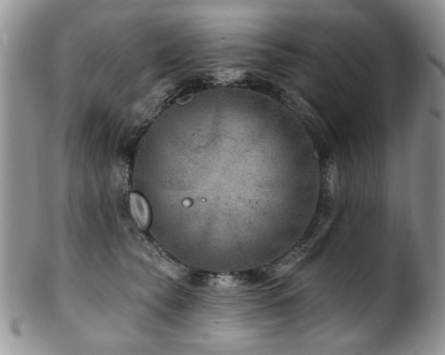 X0000100840565200806201153