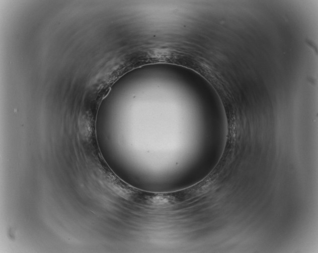 X0000100840566200806201153