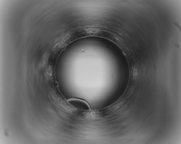 X0000100840567200806201153