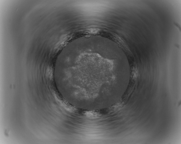 X0000100840568200806201153