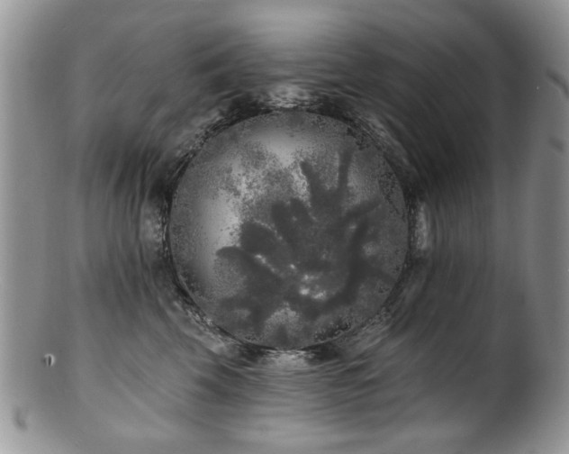 X0000100840569200806201153