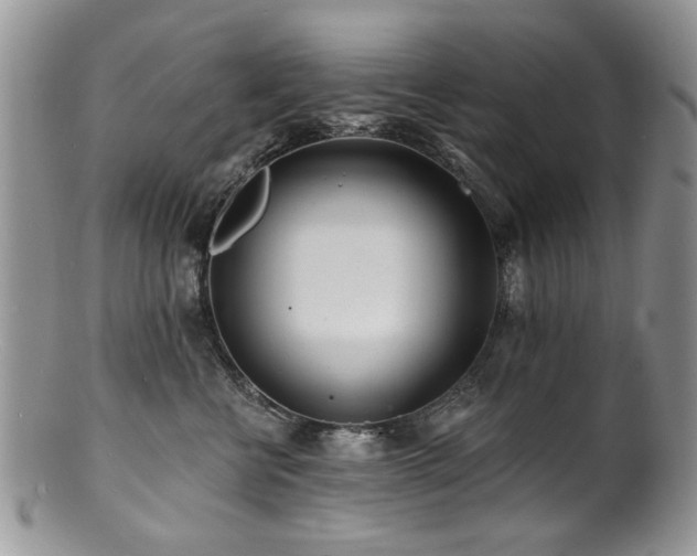 X0000100840570200806201153