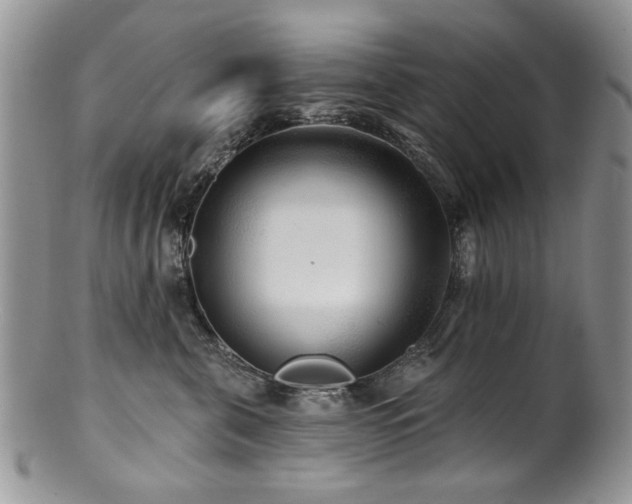 X0000100840571200806201153