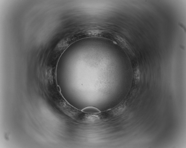 X0000100840572200806201153