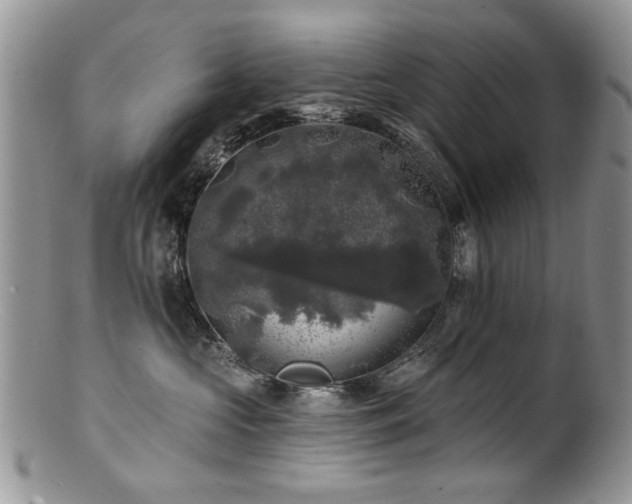 X0000100840573200806201153