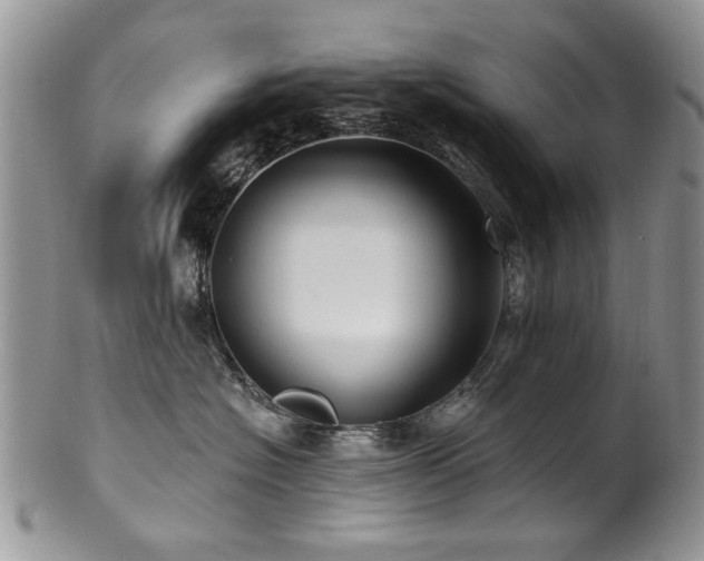 X0000100840574200806201153