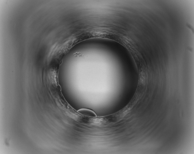 X0000100840575200806201153