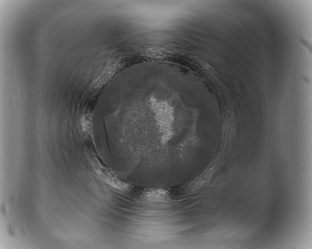 X0000100840576200806201153