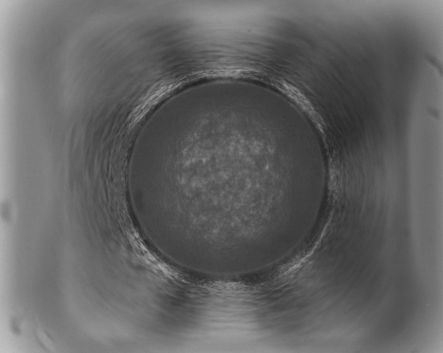 X0000100840577200806201153