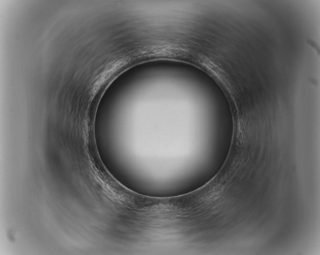 X0000100840578200806201153